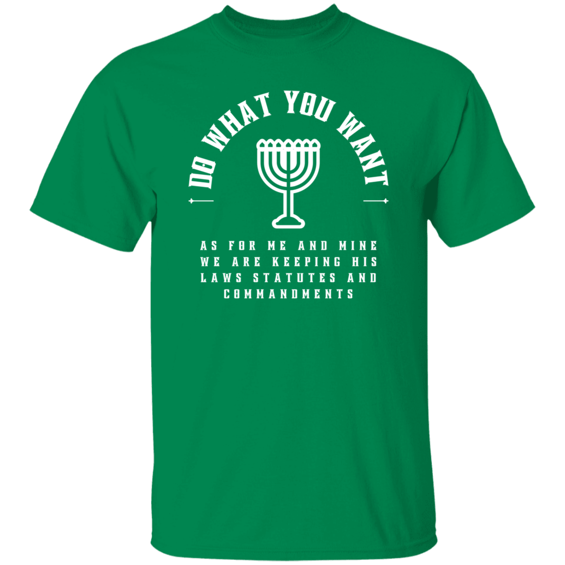 Do what you want T-Shirt